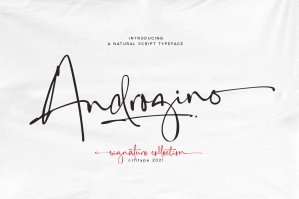 Androgino - Natural Script Typeface