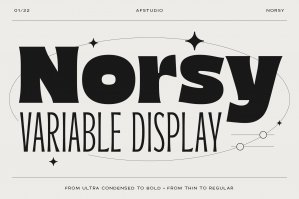 Norsy Variable Display Fonts