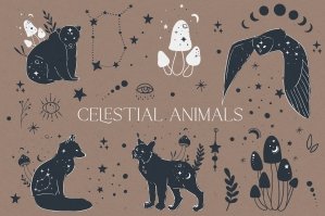 Celestial Animals Collection