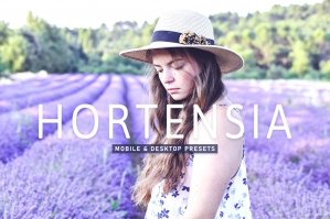 Hortensia Mobile & Desktop Lightroom Presets