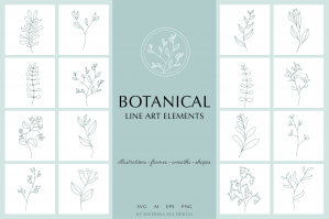 Botanical Line Art Elements