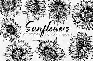 Sunflowers Outline Drawings