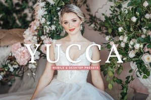 Yucca Mobile & Desktop Lightroom Presets