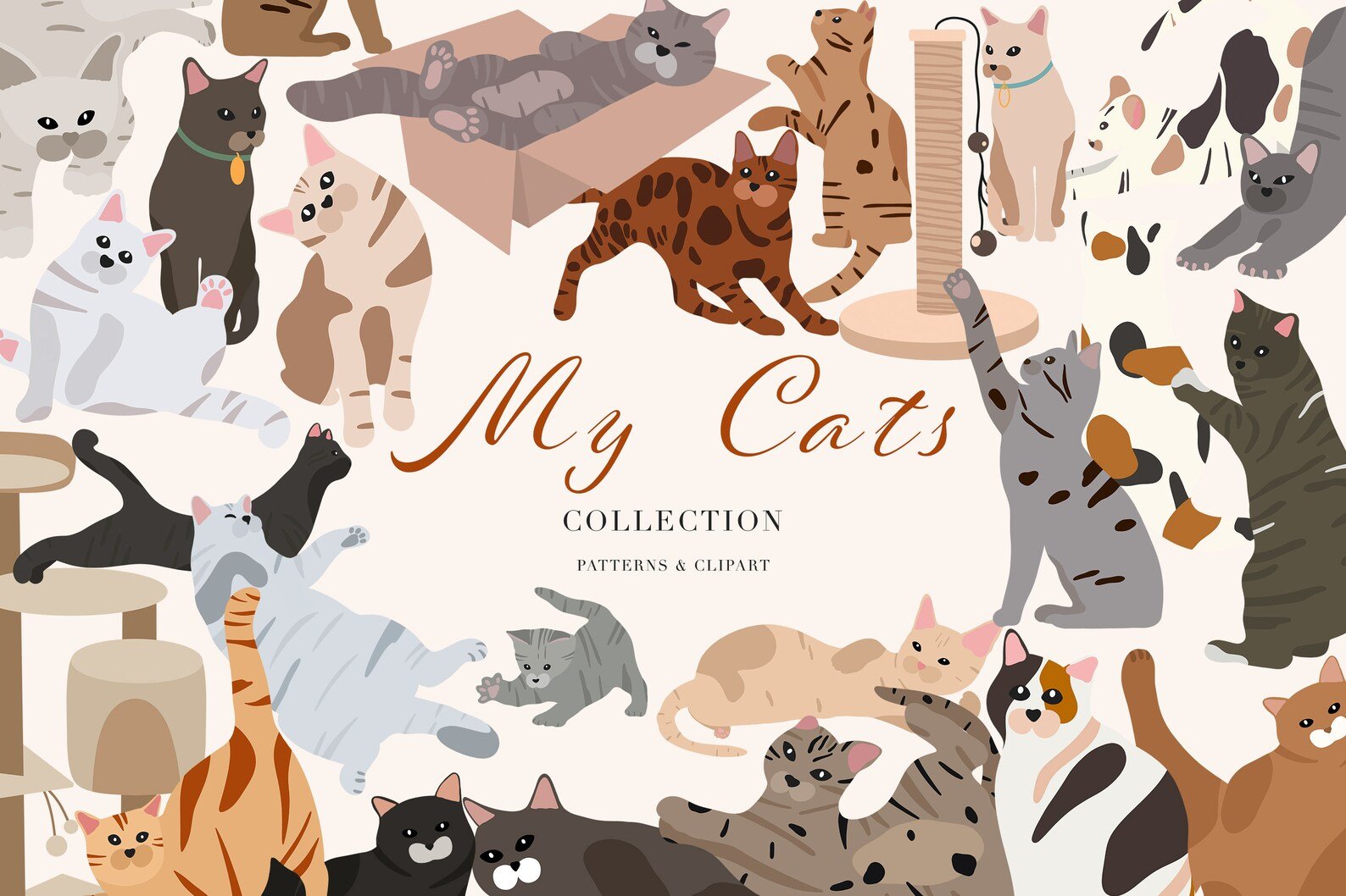 My Cats Collection