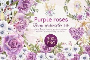 Watercolor Set With Purple Roses Clipart