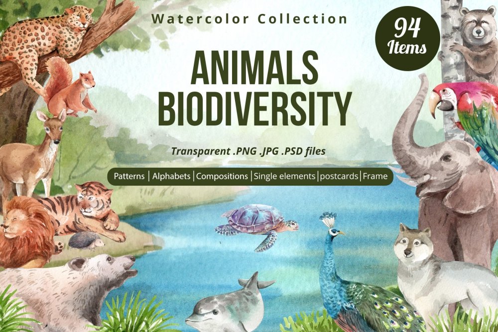 Animals Biodiversity Wildlife - Design Cuts