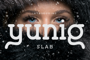 Yunig - Slab Serif Font