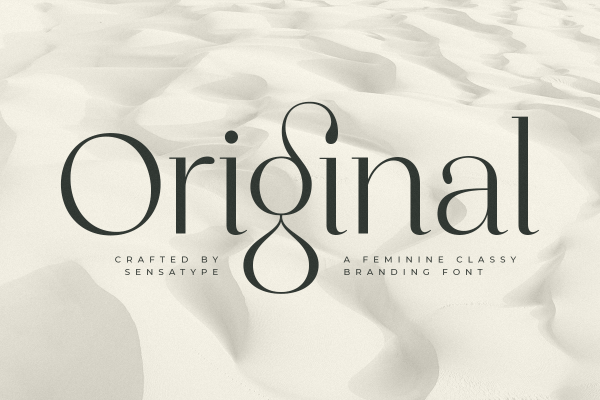 Original - Classy Branding Font - Design Cuts