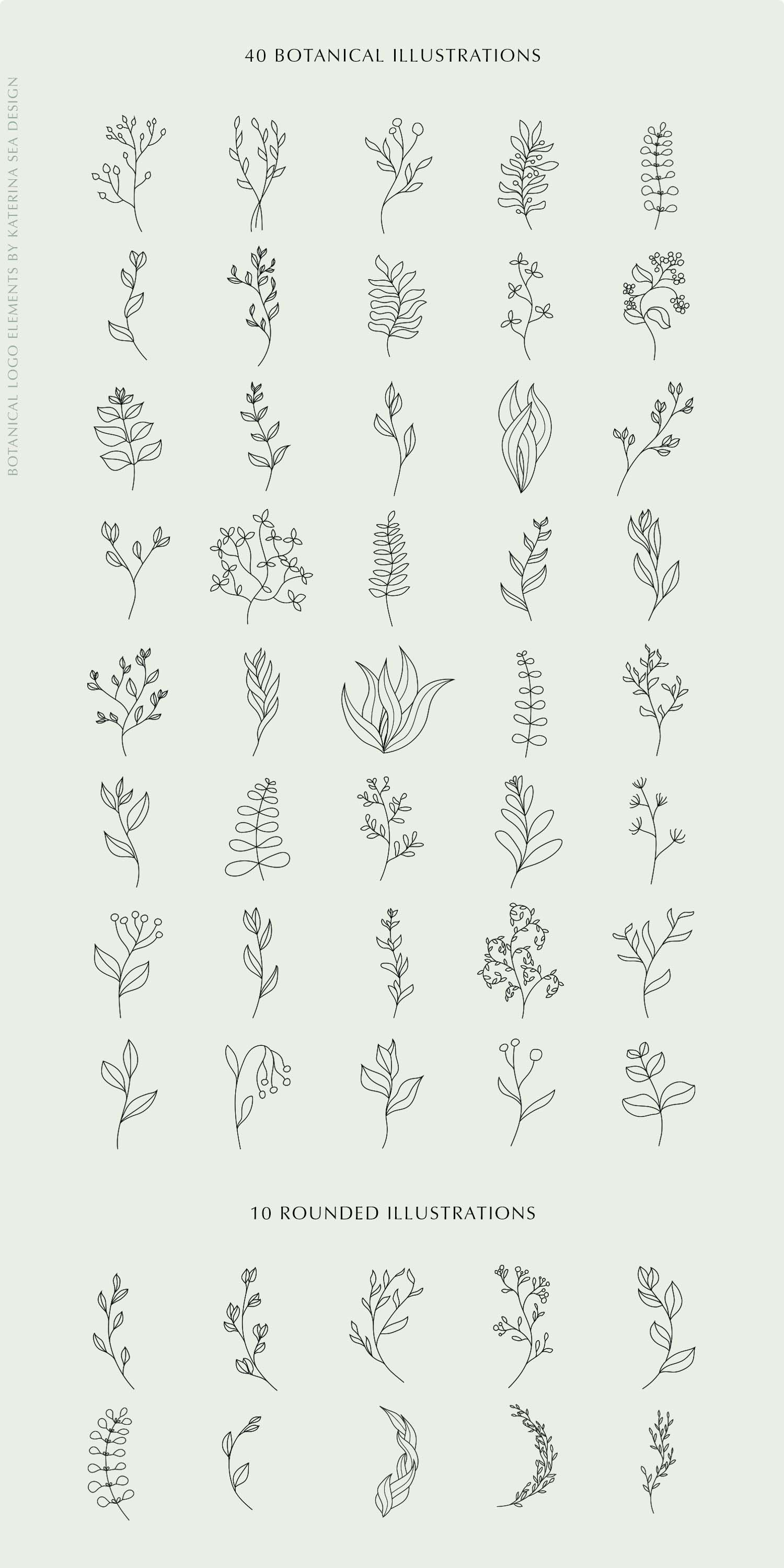 Botanical Line Art Elements - Design Cuts