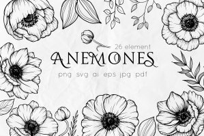 Anemones Line Art Flowers