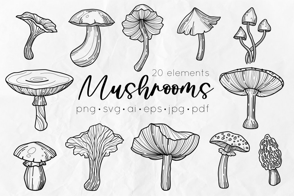 cool mushrooms drawings