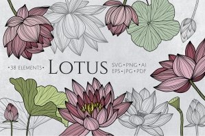 Lotus Floral Collection| Vector Svg