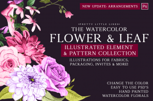The Watercolor Flower & Leaf Illustrated Element & Pattern Collection