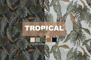Tropical Wild