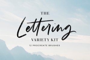 Variety Lettering Brush Kit