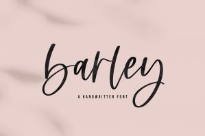 Barley - Modern Script Font