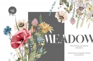 Meadow Wild Flowers And Plants Watercolor Collection