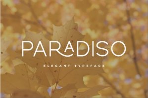 Paradiso Typeface