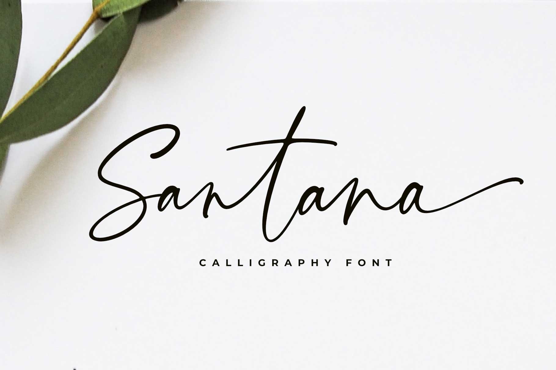 Santana Calligraphy Font - Design Cuts