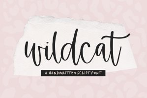 Wildcat - Handwritten Script Font