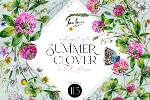 Summer Clover Watercolor Wildflowers