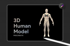 Procreate 3D Human Models