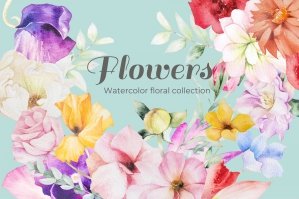 Watercolor Flower Collection No 2