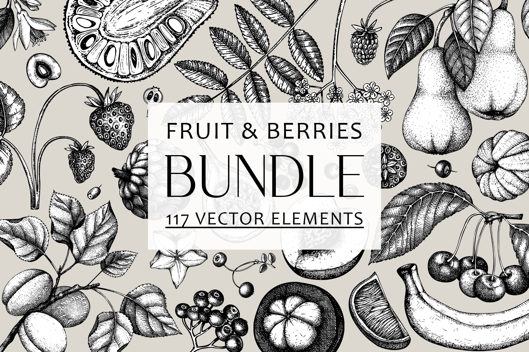 https://designcuts.b-cdn.net/wp-content/uploads/2022/04/Bundle-Vector-Fruits-Berries-01.jpg