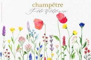 Champetre Field Wildflowers