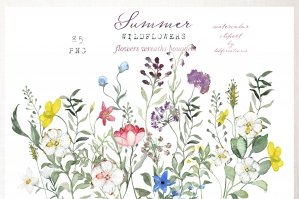 Summer Wild Flowers Watercolor Clipart