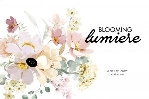 Lumiere - Rose & Cream Florals