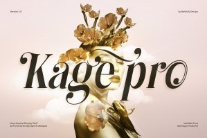 Kage Pro - Neoclassical Display Serif Fonts