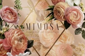 Mimosa Floral Art Collection