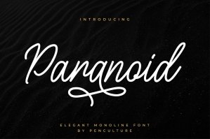 Paranoid - Elegant Monoline Font