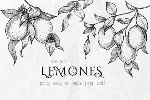 Lemons Line Art | Vector Illustration