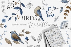 Birds & Wildflowers | Watercolor & Line Art