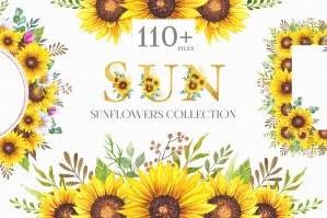 Watercolor Sunflowers Collection 2