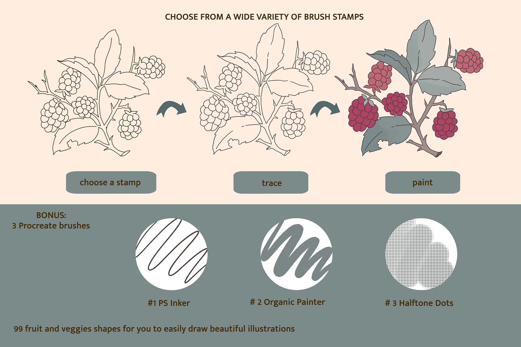 Happy Fun Fruit Procreate Brush Stamp Graphic by AchitaStudio