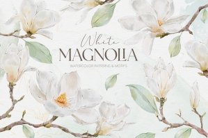 White Magnolia Watercolor Collection