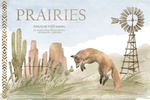 Prairies American Animals & Nature