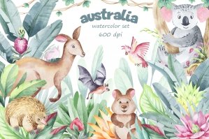 Australia Animals Watercolor Set