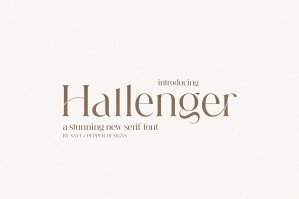 Hallenger Serif Font