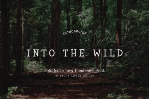 Into The Wild Font