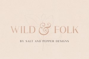 Wild & Folk Serif Font