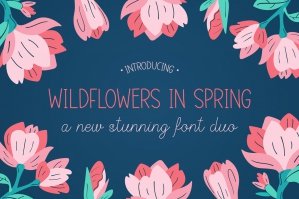Wildflowers In The Spring Font Duo