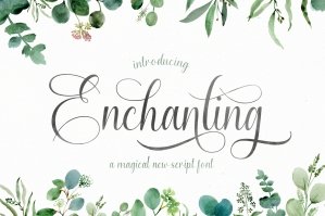 Enchanting Script Font