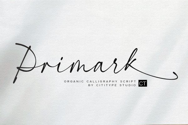 Primark - Organic Calligraphy Script Font - Design Cuts