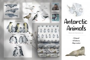 Antarctic Animals Watercolor