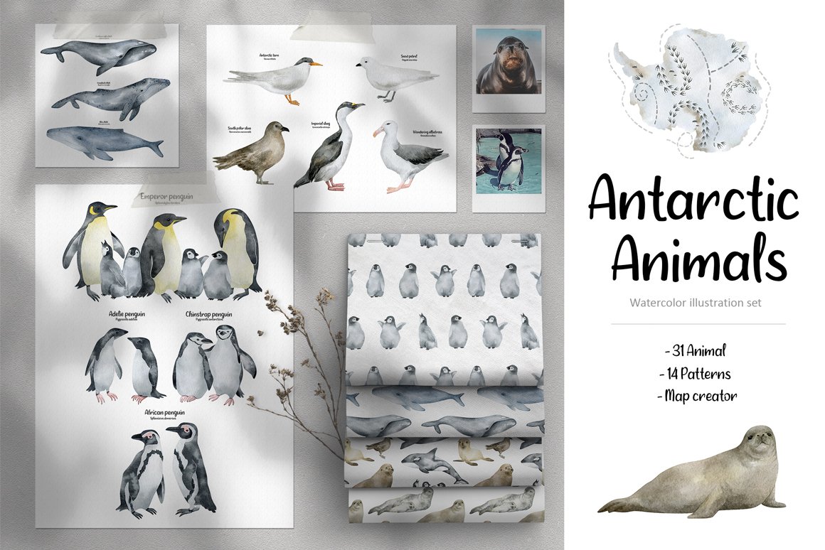 Antarctic Animals Watercolor - Design Cuts