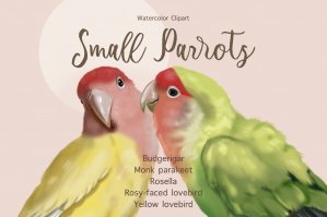 Watercolor Small Parrots